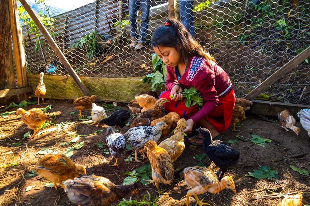 Photo of female poultry farmer 