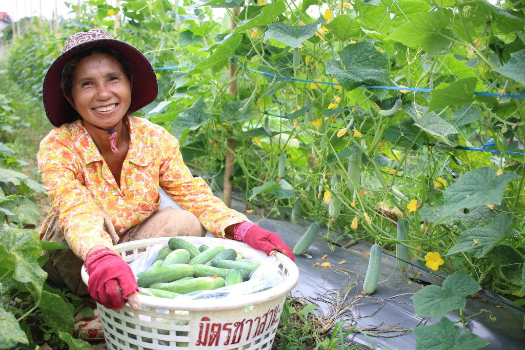 Photo of woman with basket of cucumbers