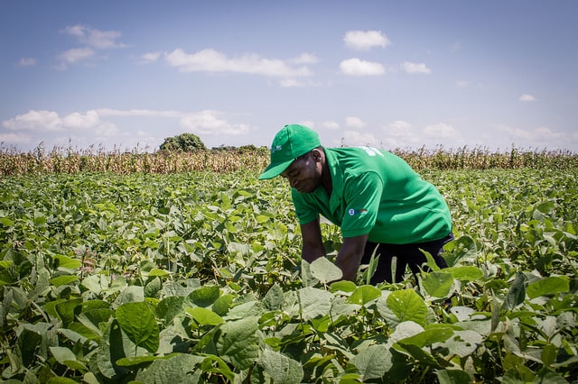 Photo of farmer in field