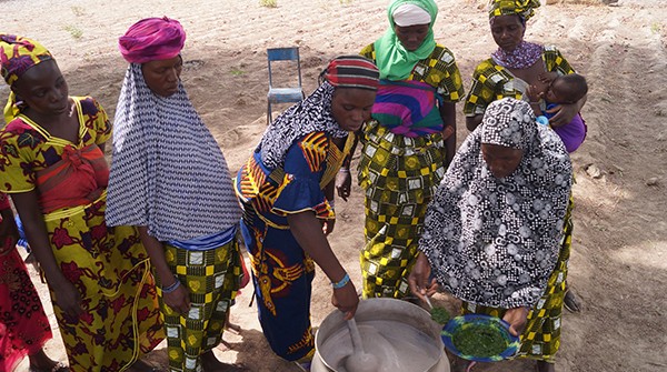 Photo of cooking demonstration in N’Goloclola