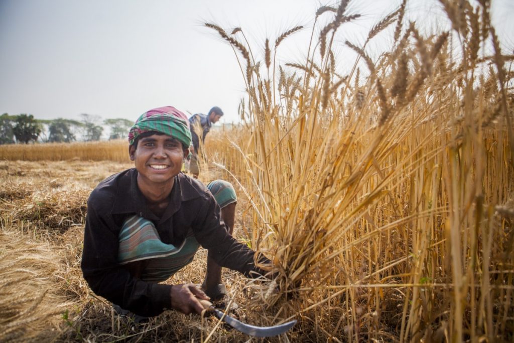 Photo of farmer with early harvest