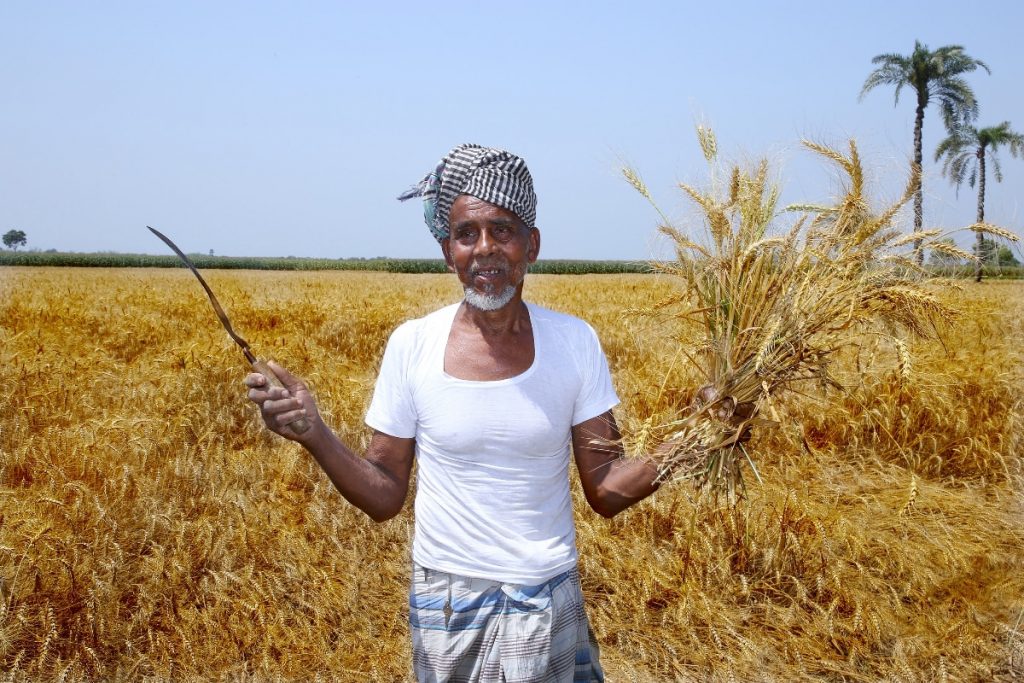 Photo of Islam with harvest