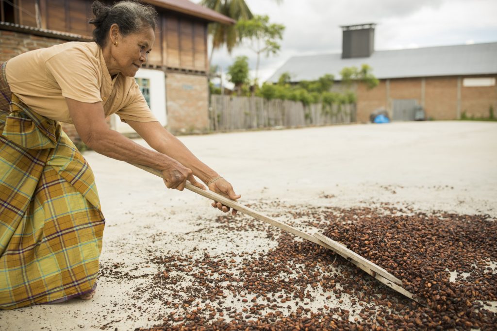 Photo of Indonesian cocoa farmer