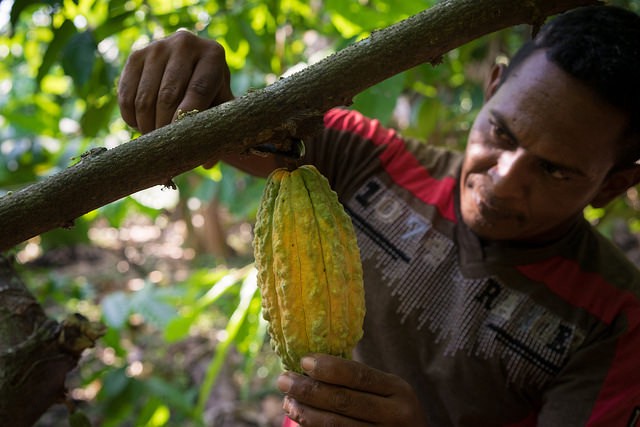 Photo of Colombian cacao farmer