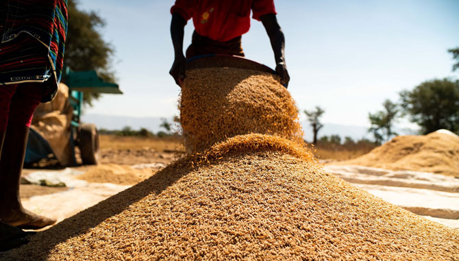 How The United States Benefits From Agricultural Development And Food Security Investments In Developing Countries