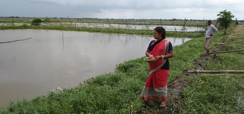 Seema Mondal, a 28-year-old shrimp and carp farmer checks her pond