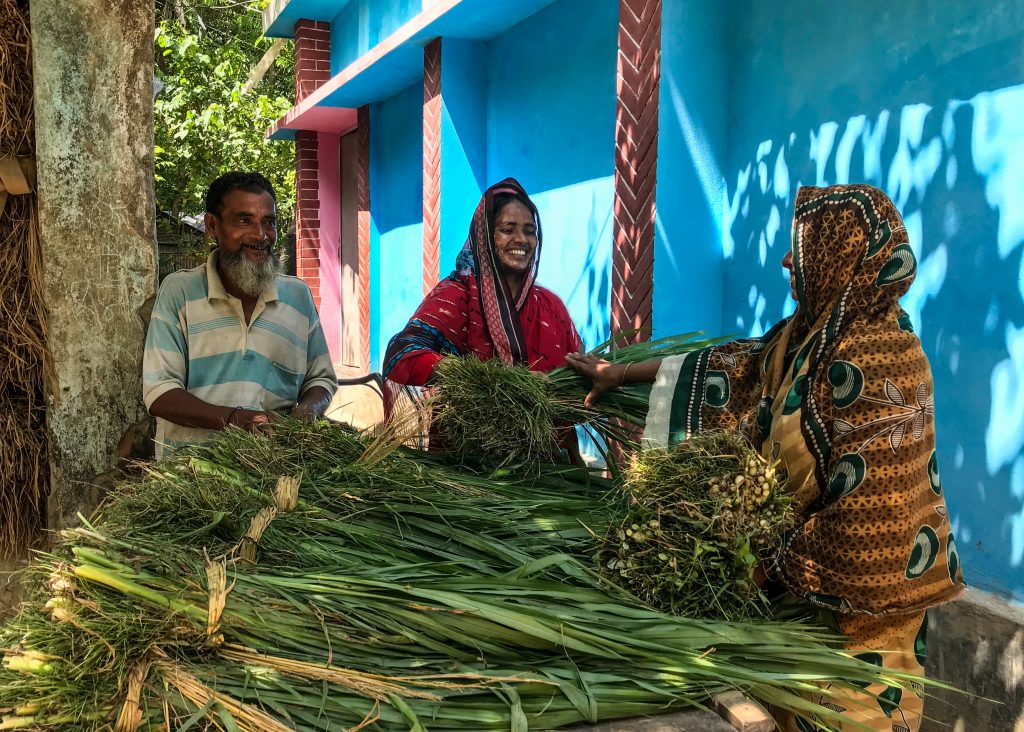 Tuhina Khatun, a cattle farmer, also harvests and sells cattle feed and fodder directly from her farm