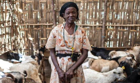 A woman standing in a containment unit for livestock.