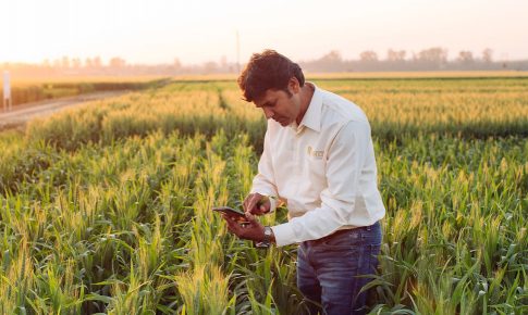 A man working on a farm using hand-held technology.