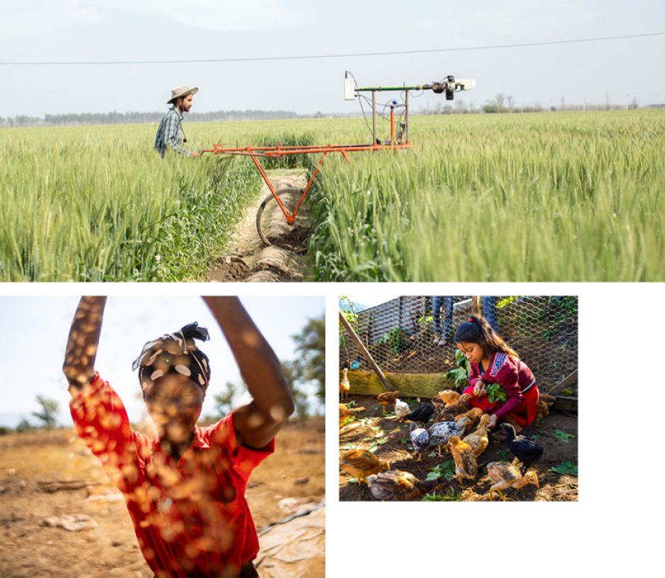 Three images depicting people and their food sources from different areas of the world.