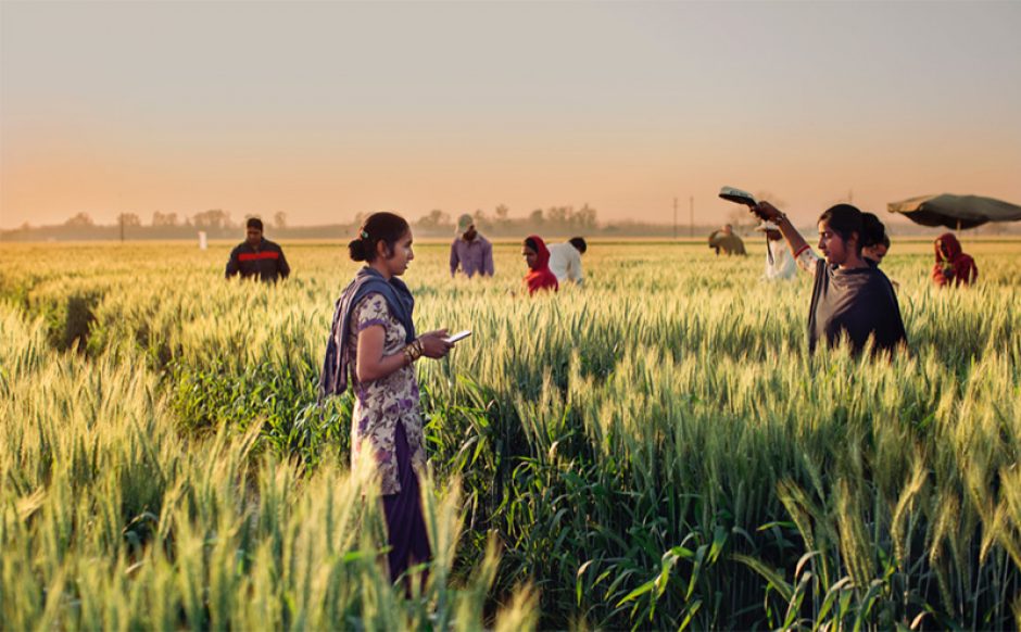 Farmers clustered together and working in a field.