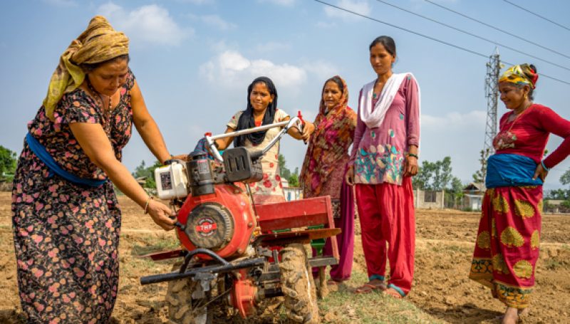 Women scientists analyzing crops