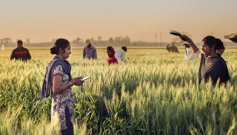 Women scientists analyzing crops