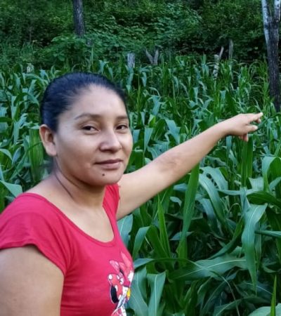 Honduran woman in a field of corn